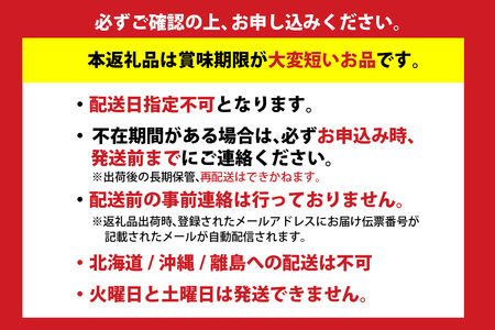 いか【先行予約】ほたるいか ボイル 小分け 250g×4パック 酢味噌付 10-14