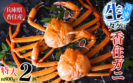 令和8年2月中旬以降順次発送 香住ガニ 活〆タグ付き香住ガニ 特大 約800g×2匹（合計約1.6kg以上）生冷凍 先行予約 ベニズワイガニ かに 07-113