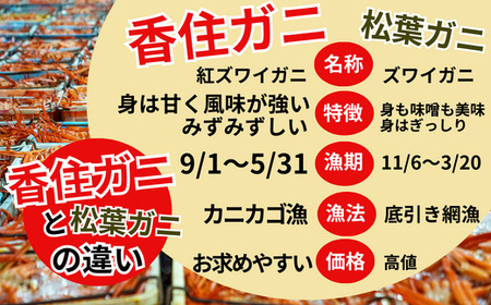 【香住ガニ 茹で ボイル カニ ポーション 脚むき身 約30本 約600g 三杯酢付 冷凍】 発送：入金確認後、順次発送 カニの本場 香住漁港で水揚げ ボイル むき身 サラダ 海鮮丼 カニ鍋 ベニズワイガニ 強い甘み みずみずしい ジューシー かに身 ポーション ふるさと納税 送料無料 足 身 兵庫県 香美町 香住 国産 山陰 日本海 マルヨ食品 マルヨダイレクト 22000円 17-26