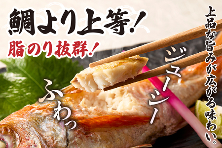 のどぐろ 処理済 のどぐろ大3匹 計約700～800g【令和8年3月下旬以降発送予定】 33-31