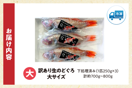 のどぐろ 処理済 のどぐろ大3匹 計約700～800g【令和8年3月下旬以降発送予定】 33-31