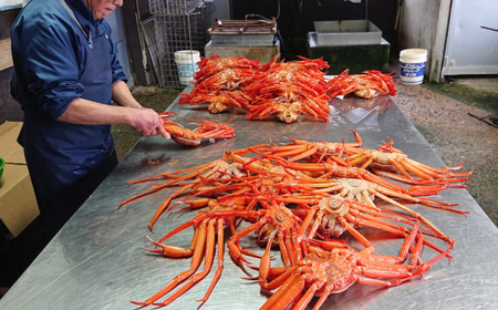 釜茹で 香住ガニ 2～3杯 1.6～1.8kg 配送日時指定可 カニ 香美町 49-03