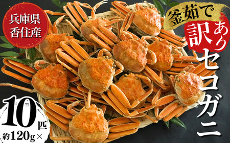 【先行予約・訳あり】 セコガニ 約120g×10匹 令和7年11月中旬以降発送予定 07-117