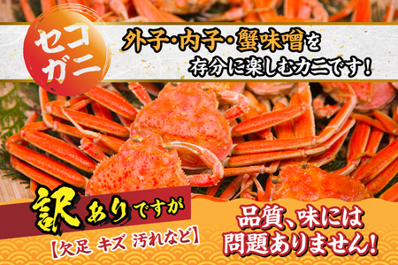 【先行予約・訳あり】 セコガニ 約120g×10匹 令和7年11月中旬以降発送予定 07-117