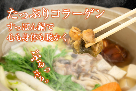 【すっぽん 鍋セット(すっぽんスープ(すっぽん切り身入り)調理済 冷凍】コラーゲン たっぷり ※発送目安:入金確認後、順次発送いたします。栄養の宝庫と言われるすっぽんを美味しいすっぽん鍋用に調理してお届け スープと身を解凍するだけ すっぽんの旨味とコラーゲンがぎゅっと凝縮 豊富な栄養素 ダイエット 美容 健康 大人気 ふるさと納税 冬 暖かい 自宅 贅沢 香美町 小代 月とすっぽん 70-01