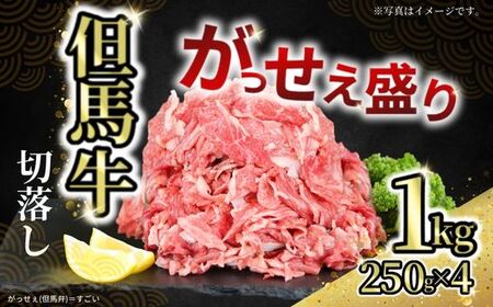 【但馬牛がっせぇ盛り スライス切り落とし計1kg（250g×4） 冷凍】発送目安：入金確認後1ヶ月程度 配送日の指定はできません。 大人気 人気ふるさと納税 返礼品 おすすめ ランキング しゃぶ 牛肉 ステーキ しゃぶしゃぶ すき焼き 焼肉 但馬 神戸 兵庫県 但馬牛 27000円 72-23