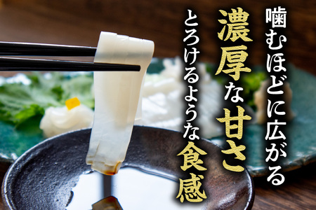 先行予約【刺身用白いかむき身　約350g 冷凍】令和8年6月下旬以降、順次発送予定 いか イカ 白いか 剣先イカ 刺身 新鮮 鮮度抜群 酒の肴 おつまみ 人気 おすすめ 兵庫県 香美町 香住 宿院商店 33-32
