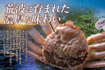 【先行予約】【訳あり茹で松葉ガニ3枚（冷蔵）】令和8年2月以降配送予定 ※足が1～2本折れたカニが混じります カニの本場 香住で水揚げされた新鮮な活松葉ガニをお届け かに カニ 蟹 国産 刺身 しゃぶしゃぶ 焼きガニ 鍋 カニ鍋 かにすき 脚 足 爪 身 肩 ランキング 大人気 人気 兵庫県 香住 柴山 ズワイガニ かに 宿院商店 53000円 33-37