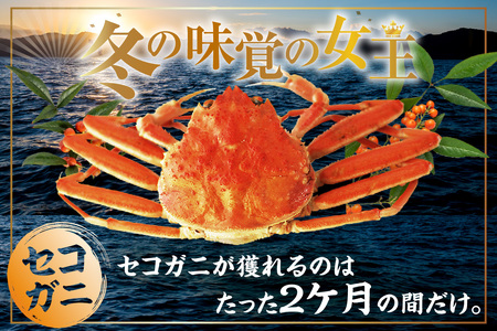 カニ【先行予約 訳あり茹でセコガニ1kg 冷蔵】令和7年11月より配送予定 ズワイガニ 33-39