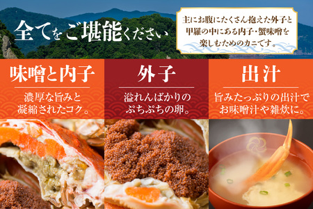 カニ【先行予約 訳あり茹でセコガニ1kg 冷蔵】令和7年11月より配送予定 ズワイガニ 33-39