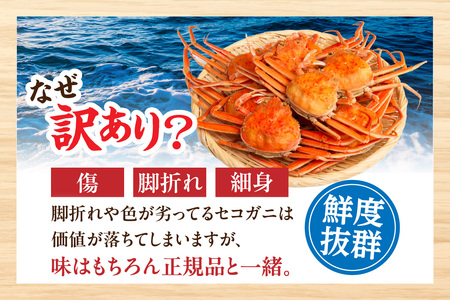 カニ【先行予約・訳あり】兵庫県香住産 茹でセコガニ1kg 33-40