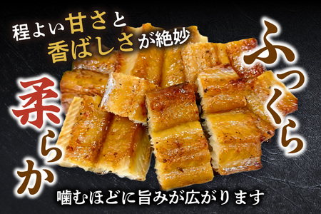 アナゴのみりん干 約800g 冷凍 穴子 あなご 香美町 33-44