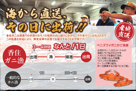 令和８年３月以降順次発送 訳あり茹で香住ガニ 約1kg（2～3匹）（冷蔵）かに カニ 紅ズワイガニ 33-42