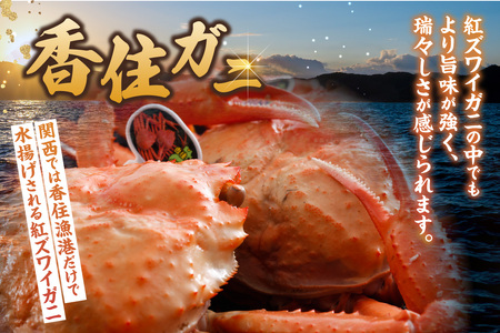 【香住ガニ 出汁缶 240g×5缶】名産品 お土産 出汁 かに カニ 蟹 国産 香住がに 紅 ずわいがに ズワイガニ 濃厚 無添加 海鮮 ギフト 常温 兵庫県 香美町 香住 民宿いしだ 48-11