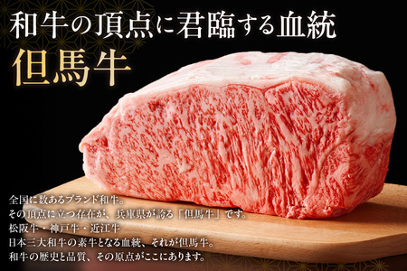 但馬牛 ランプステーキ イチボステーキ 食べ比べ セット (4枚入り) 合計500g 牛肉 ステーキ 香美町 73-05