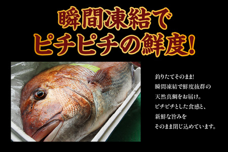 【瞬間凍結 天然真鯛 切身 約1kg 冷凍】入金確認後、順次発送予定 産地直送 鮮度抜群 下処理不要 真鯛 たい 鯛 切身 焼く 煮る 蒸す 手間なし 大人気 ふるさと納税 返礼品 おすすめ 兵庫県 香美町 香住 山米鮮魚 22000円 74-26