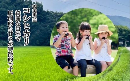 【先行予約】令和7年産【産 コシヒカリ 精米10kg】令和7年9月下旬順次発送予定 お米 米 白米 新米 ご飯 ごはん コシヒカリ もちもち ふっくら 甘み おにぎり 兵庫県 コシヒカリ 22000円 80-01