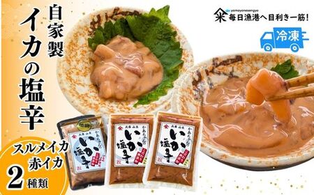 【魚屋かあちゃんの自家製イカの塩辛 2種類お味見セット 冷凍】 国産 イカ いか 塩辛 小分け 海産物 産地直送 いかの塩辛 烏賊 自家製 オリジナル ご飯 おかず 夕飯 夕ご飯 おつまみ 酒の肴 ふるさと納税 おすすめ 返礼品 兵庫県  香住 山米鮮魚 13000円 74-02