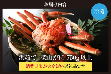 【カネニの浜茹で柴山がに 750g以上】冷蔵 高級 ふるさと納税 かにすき 焼きガニ カニ ボイル 兵庫県 香美町 香住 柴山 カネニ 06-20