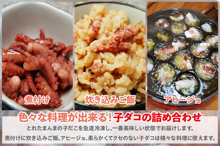 やわらか子ダコ 500g×2袋 74-28