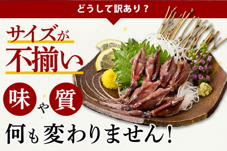 【先行予約・訳あり】 ホタルイカ ほたるいか 2kg（250g×8パック） 令和8年3月初旬から下旬に発送予定 いか イカ 07-135