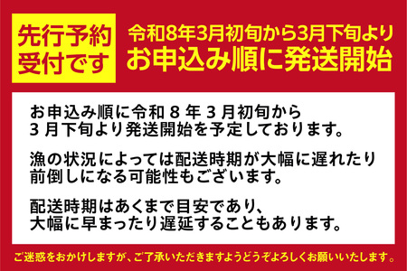 【先行予約・訳あり】 ホタルイカ ほたるいか 2kg（250g×8パック） 令和8年3月初旬から下旬に発送予定 いか イカ 07-135