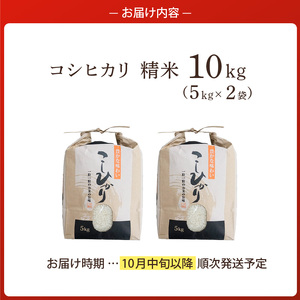 【令和8年産米 先行予約】 香美町産 減農薬 特別栽培米 新米 コシヒカリ 精米 10kg（5kg×2袋） 【令和8年10月中旬以降発送予定】 米 こしひかり 82-01