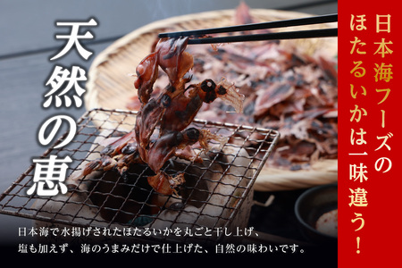 イカ【訳あり ホタルイカ 素干し180g(60g×3袋)】全国発送可 国産 07-128