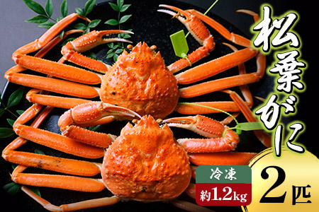 カニ 釜茹で松葉がに タグ付き 計約1.2kg 07-138