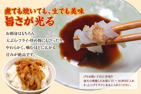 白イカ 約1kg 4-7杯程度入 不揃い 冷凍 いか 香美町 74-31