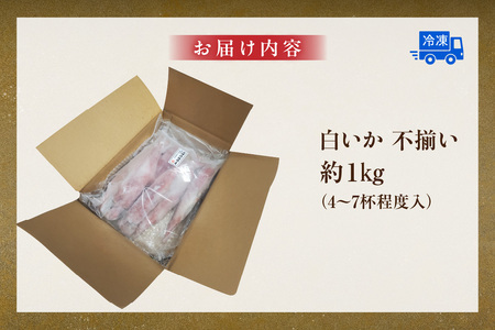 白イカ 約1kg 4-7杯程度入 不揃い 冷凍 いか 香美町 74-31