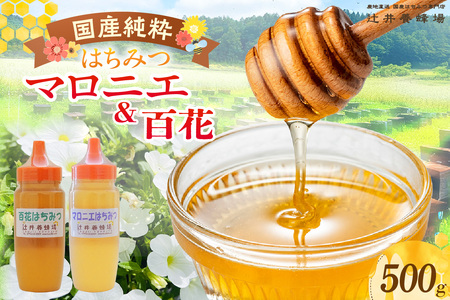【国産純粋 マロニエはちみつ 百花はちみつ 各250g 計500g ポリ容器】国産 純粋 マロニエ 百花 はちみつ ハチミツ 蜂蜜 栃の木 紅茶 パン ヨーグルト おすすめ 兵庫県 香美町 辻井養蜂場 81-03
