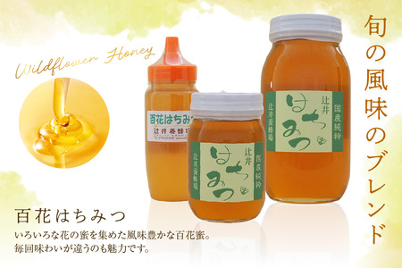 【国産純粋 マロニエはちみつ 百花はちみつ 各250g 計500g ポリ容器】国産 純粋 マロニエ 百花 はちみつ ハチミツ 蜂蜜 栃の木 紅茶 パン ヨーグルト おすすめ 兵庫県 香美町 辻井養蜂場 81-03