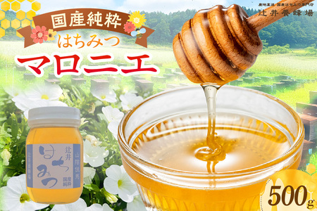 【国産純粋 マロニエはちみつ 500g 瓶】国産 純粋 マロニエ はちみつ ハチミツ 蜂蜜 栃の木 やさしい 香り まろやか パン ヨーグルト おすすめ 兵庫県  辻井養蜂場 81-04