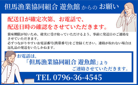 香住ガニ 大 タグ付き 約800g×2枚 水揚げ次第発送予定 漁協から配送日調整の電話が入ります 03-07