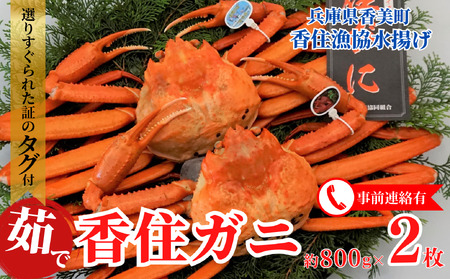 カニ【先行予約･香住ガニ ボイル 大 タグ付き 2枚】水揚次第発送予定 紅ズワイガニ 漁協から配送日調整の電話が入ります 03-08