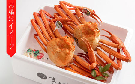 香住ガニ 大 タグ付き ボイル 茹で 約700g×2杯 香住産 カニ かに 11-04