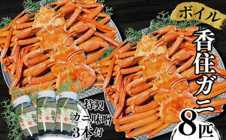 香住ガニセット 8匹 カニ味噌 3本 カニ 05-06