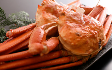 香住ガニセット 8匹 カニ味噌 3本 カニ 05-06