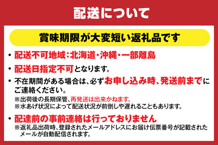 香住ガニセット 8匹 カニ味噌 3本 カニ 05-06