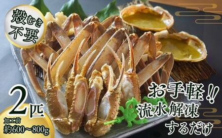カニ【訳あり･数量限定】松葉がに 2匹 07-38