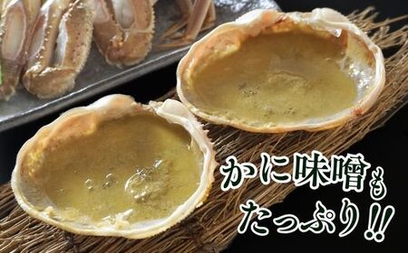 カニ【訳あり･数量限定】松葉がに 2匹 07-38