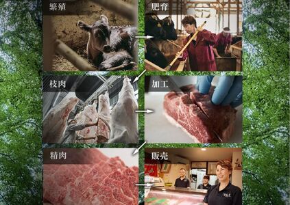 【但馬牛 究極の但馬牛 ローススライス500ｇ わりした付 冷蔵】発送目安：ご入金確認後、1ヶ月程度 配送日指定不可「満天 青空レストラン」で紹介されました！但馬玄は脂肪融点が低い不飽和脂肪酸を多く含むマグロのようなあっさりとした脂が特徴です。天然素材を中心とした独自配合飼料で丁寧に育てています。牛肉 しゃぶしゃぶ しゃぶ すきやき 焼肉 香美町 村岡 上田畜産 77000円 01-07