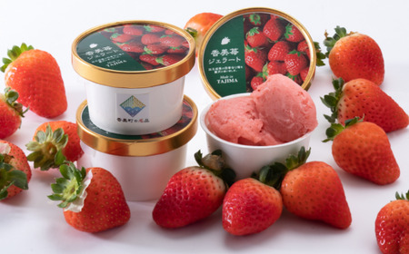 アイス【いちごのジェラート 100g×6個】夏イチゴ ペチカほのか アイスクリーム 18-01