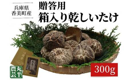 贈答用　箱入りしいたけ　300ｇ きのこ キノコ 椎茸 しいたけ シイタケ 乾燥椎茸 原木乾燥しいたけ 原木栽培 最上級 肉厚 煮物 鍋 だし汁 55-02