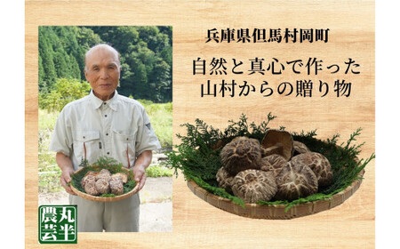 乾しいたけバラエティーセット 箱入りしいたけ　300ｇ きのこ キノコ 椎茸 しいたけ シイタケ 乾燥椎茸 原木乾燥しいたけ 原木栽培 最上級 肉厚 小葉しいたけ どんこしいたけ スライスしいたけ 小袋サイズ 素だし 煮物 鍋 だし汁 55-04　