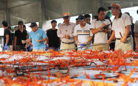 香住ガニ 2Lサイズ 5肩セット かに カニ 06-14