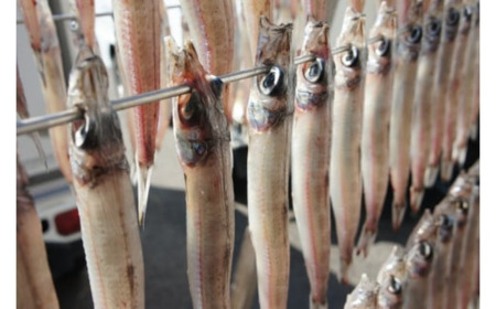 干物【HARATOKUセット エテガレイ ハタハタ キス】 56-06