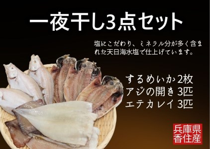 干物【一夜干し3点セット するめいか アジの開き エテガレイ】産地直送 51-04