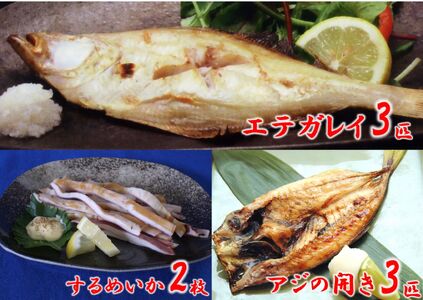 干物【一夜干し3点セット するめいか アジの開き エテガレイ】産地直送 51-04